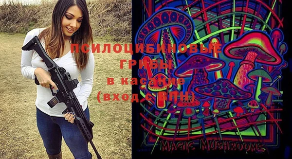дживик Балахна