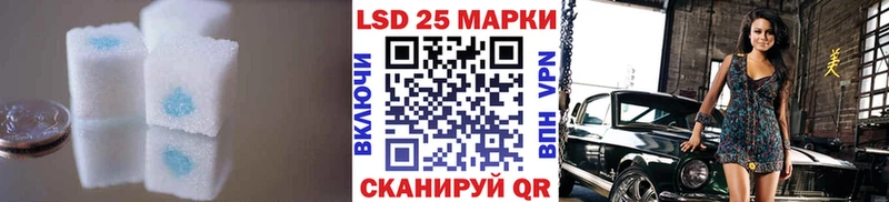 продажа наркотиков  Курчатов  Лсд 25 экстази кислота 