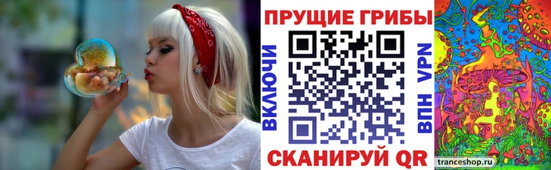 купить наркоту  Курчатов  Галлюциногенные грибы ЛСД 